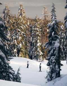 Grouse Mountain Ski Resort