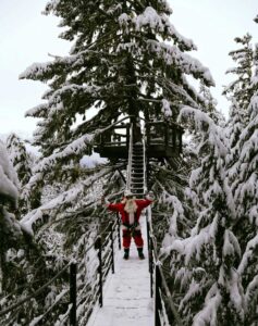 Whistler Ziptrek Ecotours in winter