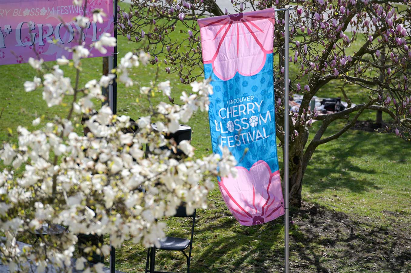Vancouver Cherry Blossom Festival 2024 Vancouver Page