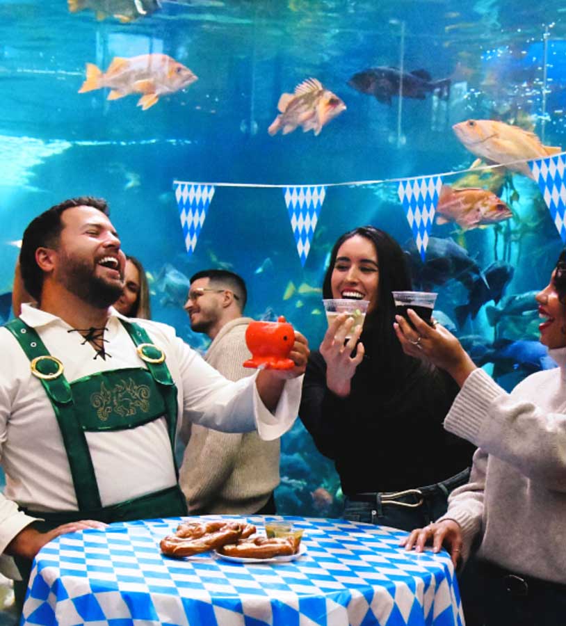 Oktoberfish at Vancouver Aquarium