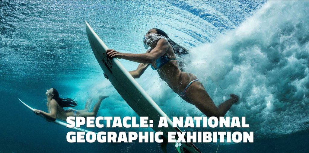 SPECTACLE: A National Geographic Exhibition – Live in Vancouver - Vancouver Page Local Events Guide