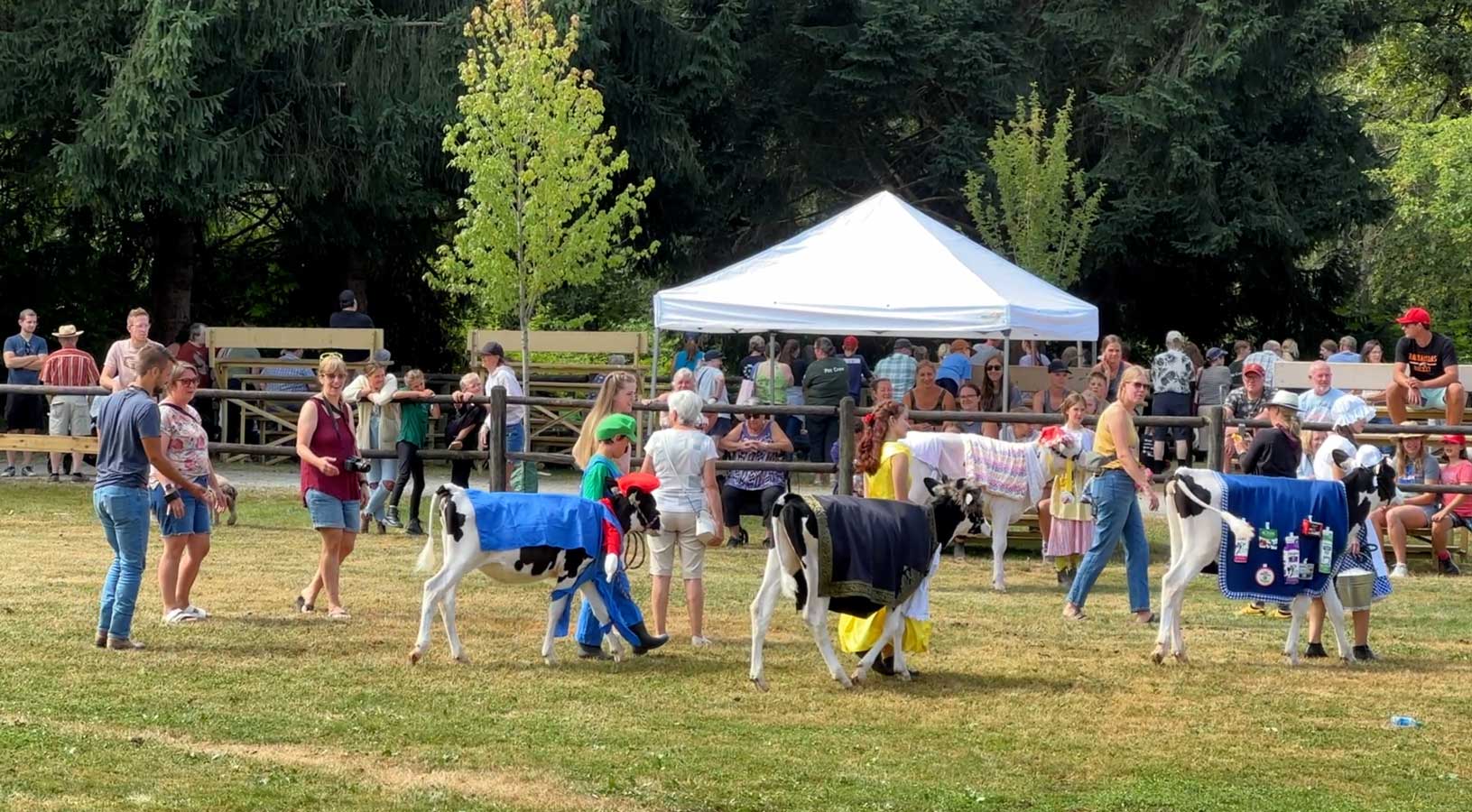 Maple Ridge Pitt Meadows Country Fest 2025 - July 26 & 27, 2025 - Vancouver Page Local Events Guide