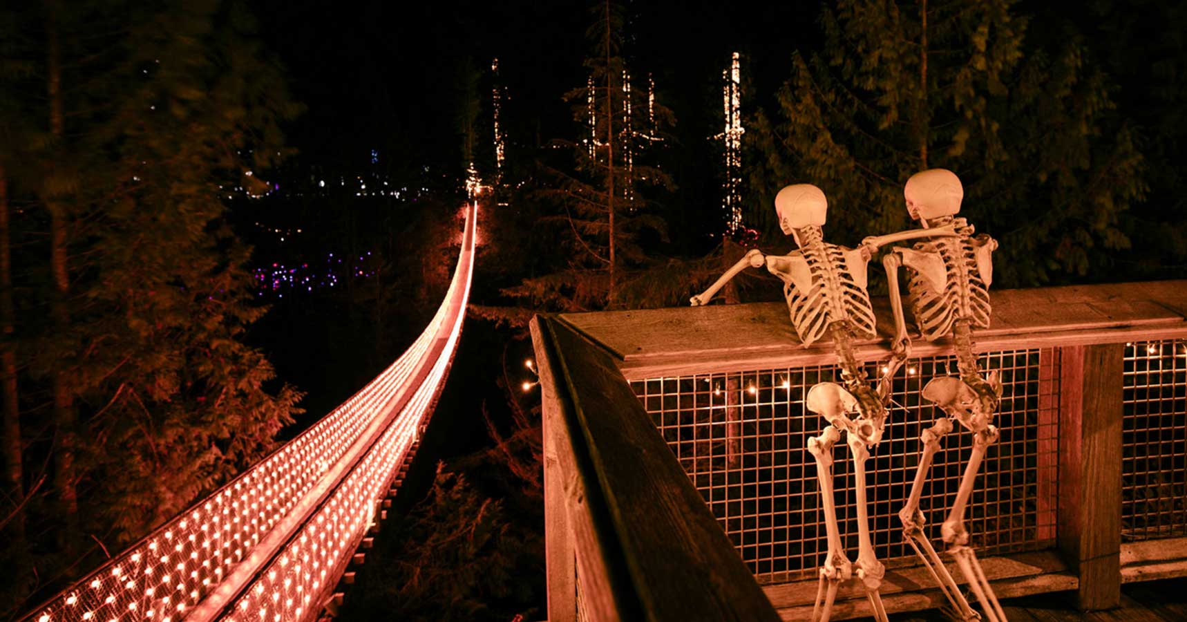 Canyon Frights at Capilano Suspension Bridge Park